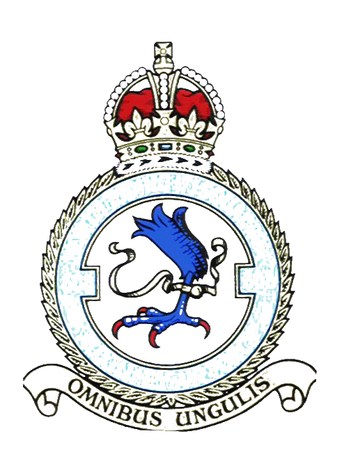 608 (North Riding) Squadron Royal Auxiliary Air Force colour badge